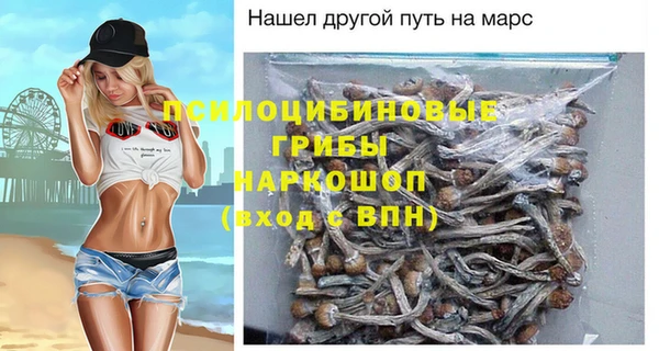 таблы Богородицк