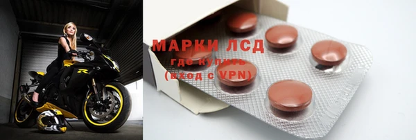 сатива Белокуриха