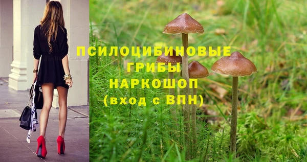 сатива Белокуриха