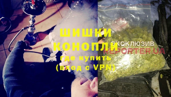 сатива Белокуриха