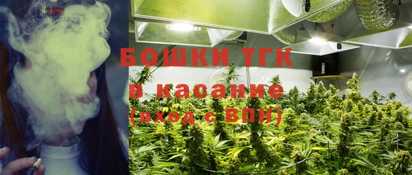таблы Богородицк