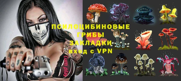 2c-b Белоозёрский