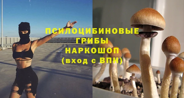 соль курить ск Богородск