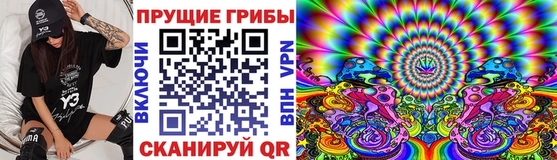 блэк спрут зеркало  Болгар  Псилоцибиновые грибы Cubensis  закладка 