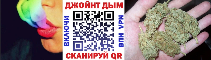 как найти   Болгар  Конопля Amnesia 